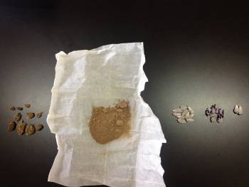 Τρεις συλλήψεις για ναρκωτικά στον Αγγελώνα Μονεμβασιάς