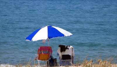 Καιρός: Παραμένει η ζέστη - Σε ποιες περιοχές θα έχουμε βροχές και καταιγίδες (Βίντεο)