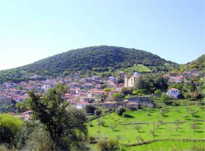 Δήμος Τριφυλίας: Συνδυασμό κοινοτήτων ζητεί ο Πρόεδρος της Κεφαλόβρυσης (Ρίπεσι)