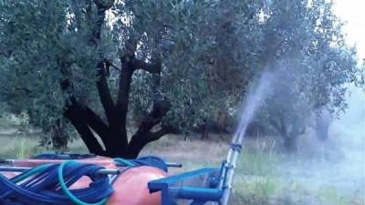 Αποφασίζουν για την δακοκτονία στον Δήμο Οιχαλίας