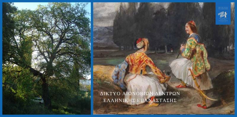 Σήμανση μνημειακής δρυός για τη Μάχη στο Κρεμμύδι