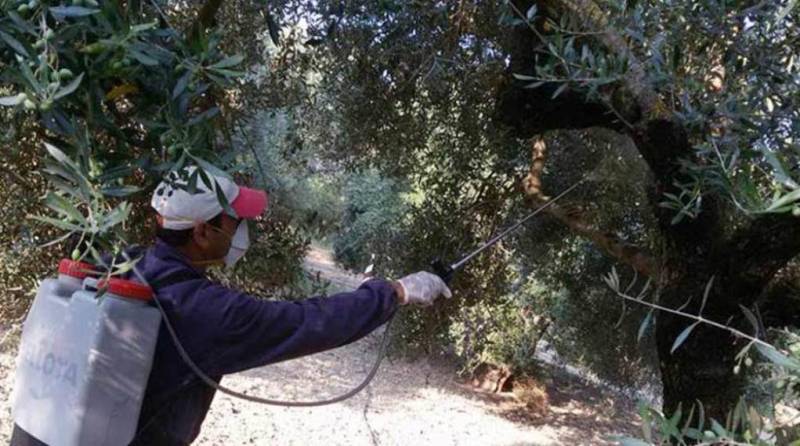 Μεσσηνία: Συνεχίζονται σε διάφορες περιοχές οι ψεκασμοί δακοκτονίας