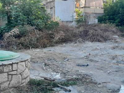 Κίνδυνος πυρκαγιάς από συγκέντρωση κλαδεμάτων