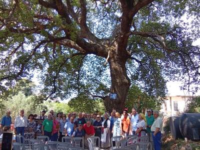 Τελετή σήμανσης μνημειακής δρυός στη Βελανιδιά Κρεμμυδίων