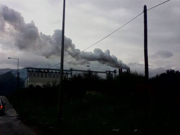 Ρύπανση από τα πυρηνελαιουργεία