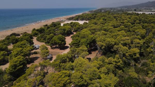 Χιλιάδες επισκέπτες κάθε χρόνο στο παράκτιο δάσος της Ελαίας - Προτάσεις από τον πρόεδρο της κοινότητας Άρη Σκλάβο