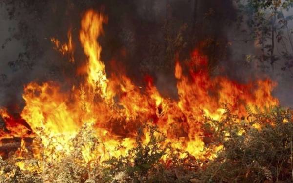 Δύο νέες φωτιές στον Ταϋγετο