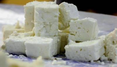 Αλήθειες και ψέματα για την φέτα και την CETA