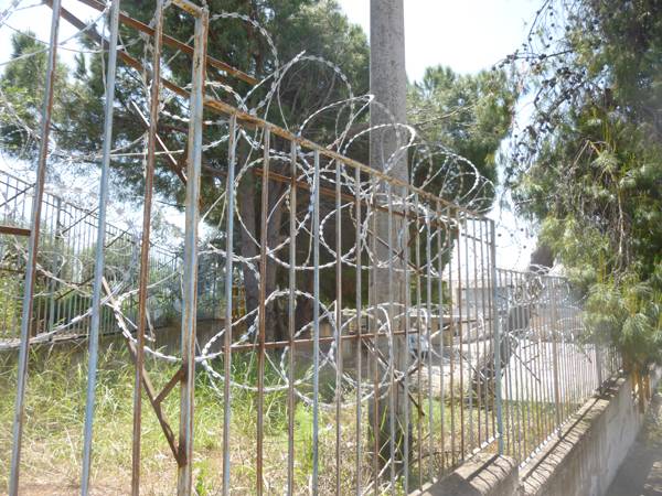 Αγκαθωτό συρματόπλεγμα 