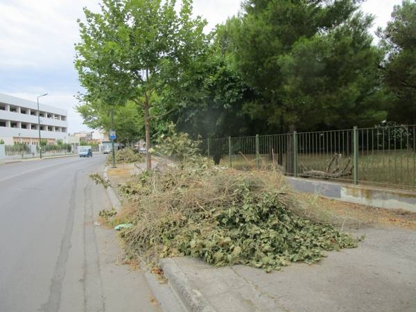 Δείχνει εγκατάλειψη