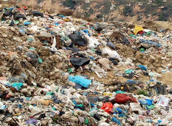Συνεχίζει η Ecowaste στη Μαραθόλακκα