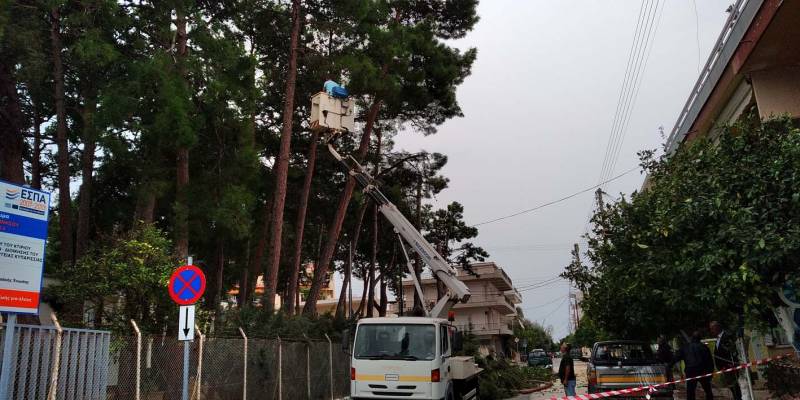 Κλάδεμα στα πεύκα του Νοσοκομείου Κυπαρισσίας