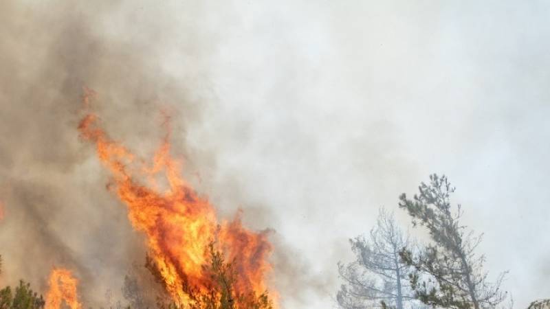 Συστάσεις του Δήμου Τριφυλίας για τον κίνδυνο πυρκαγιών