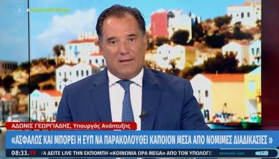 Γεωργιάδης: Ασφαλώς και μπορεί η ΕΥΠ να παρακολουθεί κάποιον μέσα από νόμιμες διαδικασίες (Βίντεο)