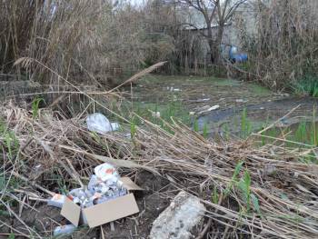 Φυτοφάρμακα μολύνουν τον υδροφόρο ορίζοντα