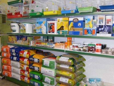 Τσιγγάνος πήγε να κλέψει pet shop στο Ασπρόχωμα