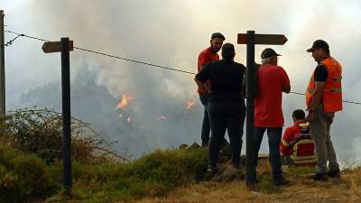 Συναγερμός στην Ευρώπη λόγω ακραίου καύσωνα και πυρκαγιών
