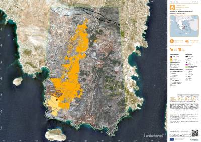 Κάηκαν 15.808 στρέμματα στην Αττική - Συνελήφθησαν 2 υπάλληλοι του ΔΕΔΔΗΕ