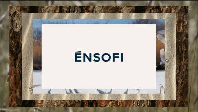 H ΤΕΜΕΣ Α.Ε. περνάει σε νέα εποχή και μετασχηματίζεται σε ĒNSOFI Α.Ε.