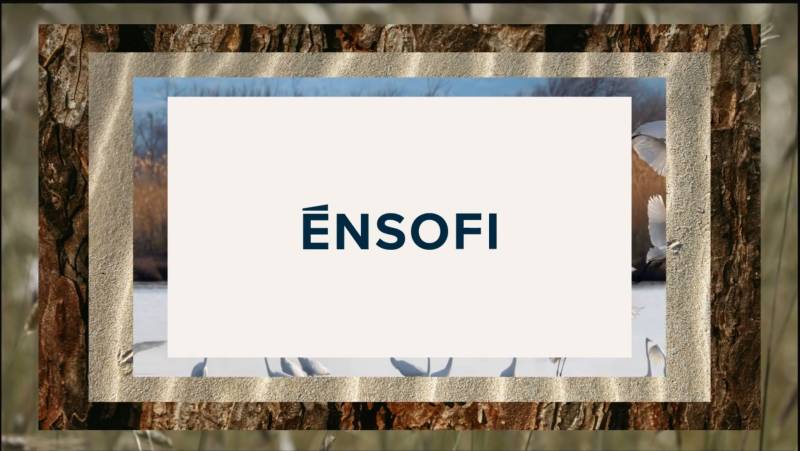 H ΤΕΜΕΣ Α.Ε. περνάει σε νέα εποχή και μετασχηματίζεται σε ĒNSOFI Α.Ε.