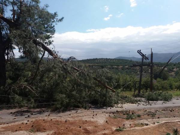 Προβλήματα από τους ισχυρούς ανέμους στην Τριφυλία
