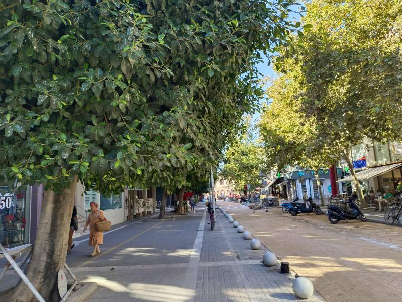 Ρώτησαν για τα δέντρα στη Σιδ. Σταθμού