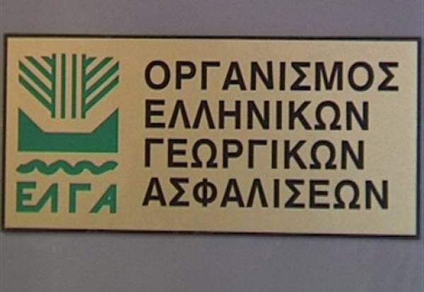 Αποζημιώσεις από τον ΕΛΓΑ ζητάει ο Αγροτικός Σύλλογος Χανδρινού