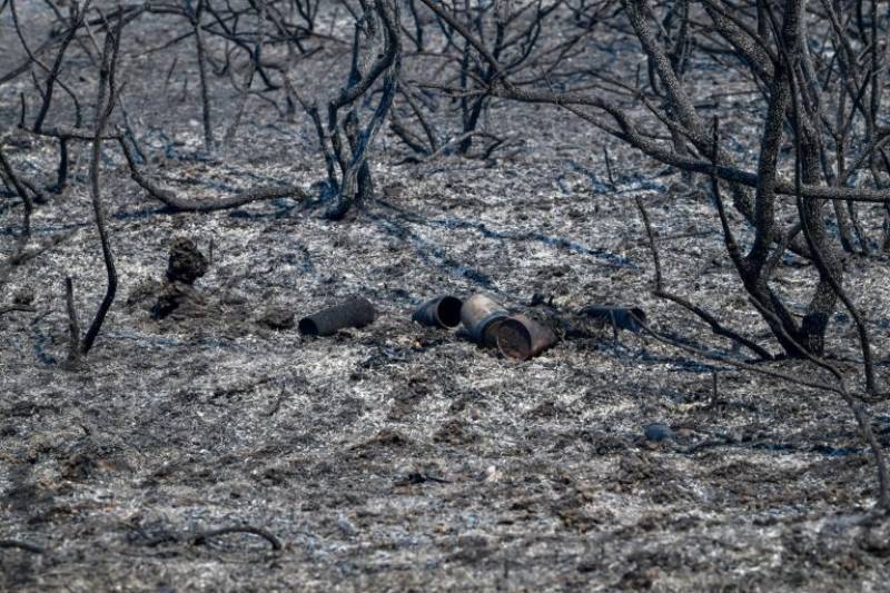 Εργα 4 εκ. ευρώ σε πυρόπληκτες περιοχές της Μεσσηνίας