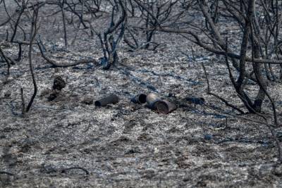 Εργα 4 εκ. ευρώ σε πυρόπληκτες περιοχές της Μεσσηνίας