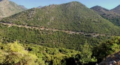 Δημοπρασία 3,5 εκ. ευρώ για το Μηλέα - Παναγία Γιάτρισσα