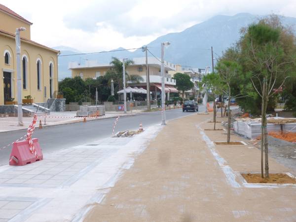 Φυτεύουν πεύκα στην πλατεία Ανάστασης