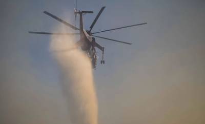 Φωτιά σε δασική έκταση στην Εύβοια - Στην περιοχή πνέουν ισχυροί άνεμοι