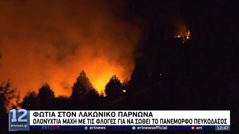 Φωτιά στον Λακωνικό Πάρνωνα (βίντεο)