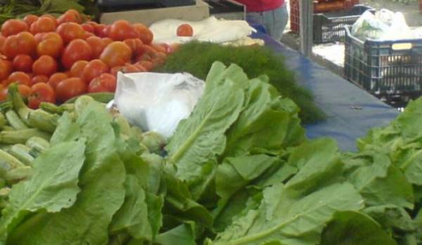 Μέτρα στήριξης ζητεί ο Αγροτικός Σύλλογος Γαργαλιάνων