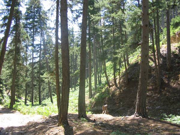 Ανοιξιάτικο Σχολείο της Φύσης στον Ταΰγετο