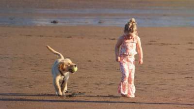 Πρόληψη των παιδικών ατυχημάτων από ζώα