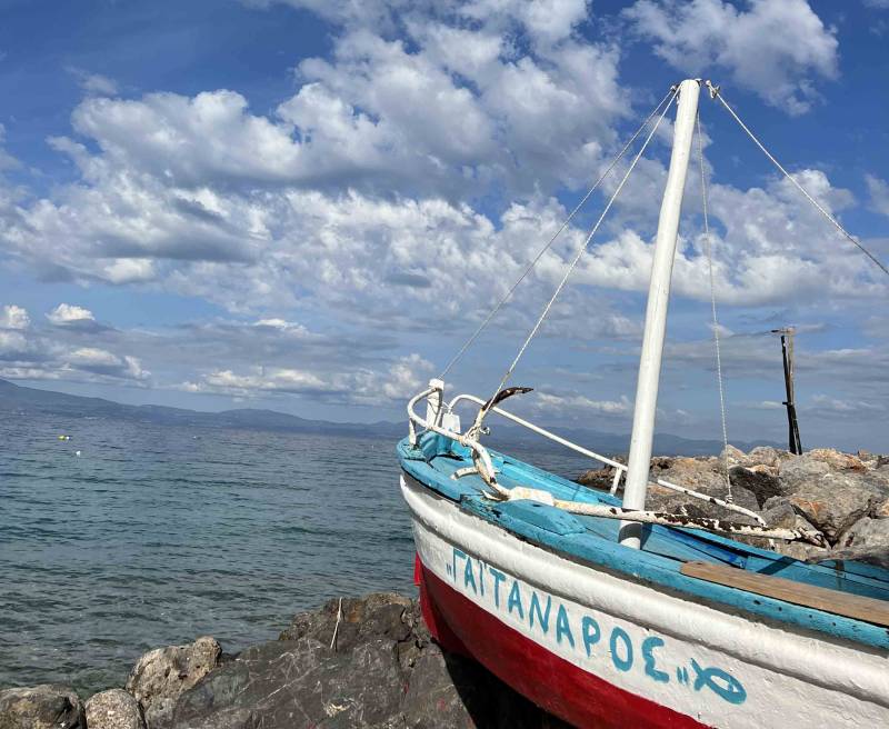 Κιτριές: Έφυγε από τη ζωή ο Δημήτρης Γαϊτανάρος
