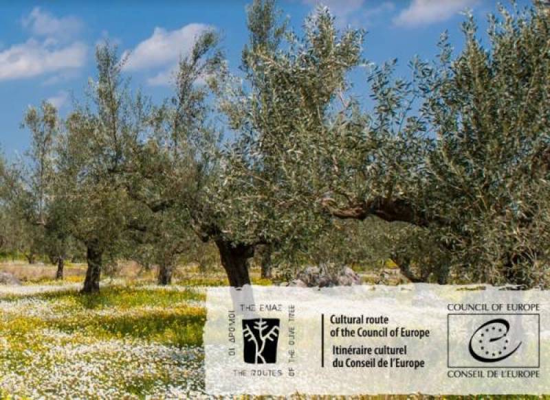 “Δρόμοι της Ελιάς”: Αποχώρησαν από το πρόγραμμα των πολιτιστικών διαδρομών του Συμβουλίου της Ευρώπης λόγω Γάζας