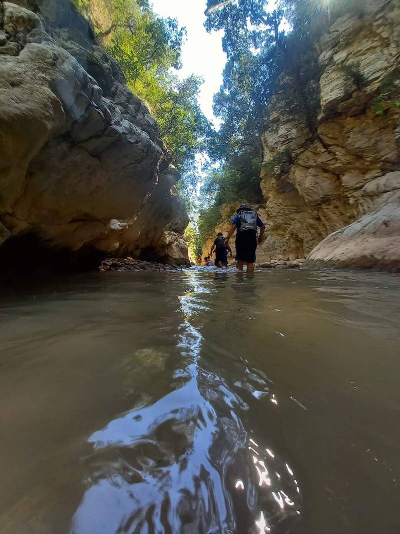 Μαγευτική πεζοπορική διαδρομή στη Νέδα