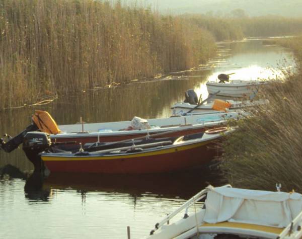 Μελέτες από Αναπτυξιακή για έργα στο Δήμο Μεσσήνης
