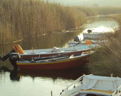 Μελέτες από Αναπτυξιακή για έργα στο Δήμο Μεσσήνης