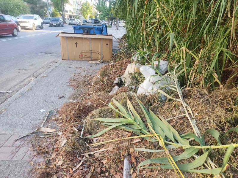 Αδιάβατο πεζοδρόμιο