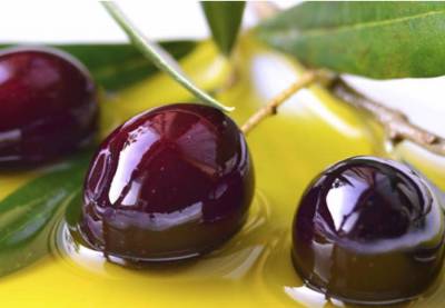 ΤΕΙ Πελοποννήσου: Μεταπτυχιακό για την τεχνολογία της ελιάς και του ελαιόλαδου