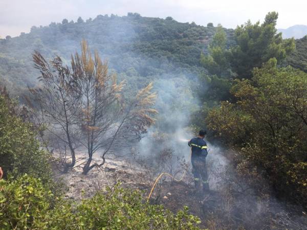 Φωτιά από κεραυνό στην Αγαλιανή