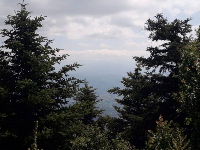 Διάνοιξη αντιπυρικών ζωνών ζητεί ο Λαμπρόπουλος