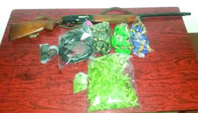 Καλλιεργούσε χασισόδεντρα σε αγρόκτημα στο Πεταλίδι