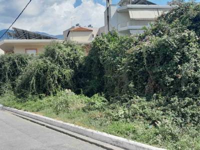 Παραμένει η ζούγκλα