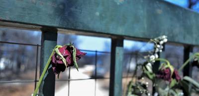 Η αρετή της ενσυναίσθησης: μια «φλεγόμενη» χώρα σε αναζήτηση προτύπων