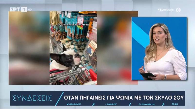 Ανενόχλητος σκύλος κάνει τα ψώνια του μέσα από καρότσι (βίντεο)