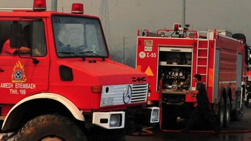 Φωτιά σε δασική έκταση στη Μεγαλόπολη